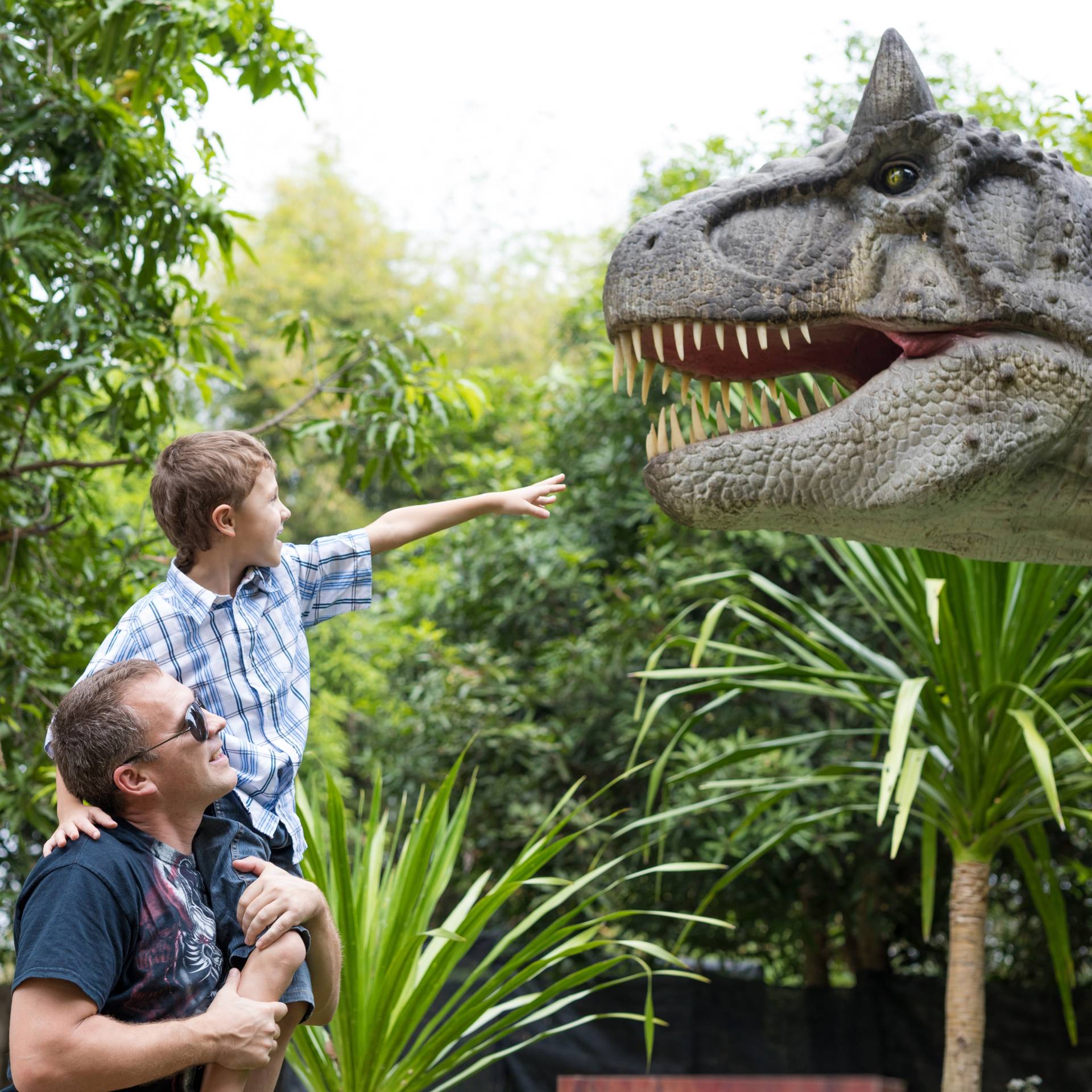 dreamstime_xxl_145091737 Kid reaching to pet dinosaur